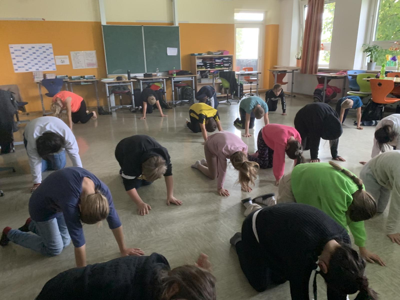 Doku Bewegung Montag 5